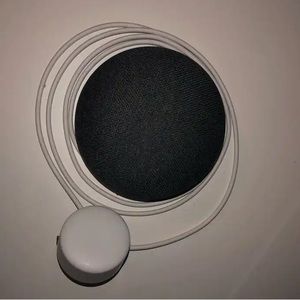 Google Home Mini